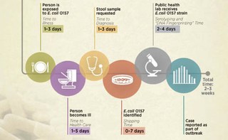 E. Coli timeline (Image: CDC)